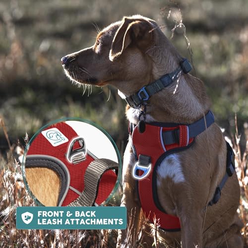 Embark No Pull Dog Harness (M / Red)