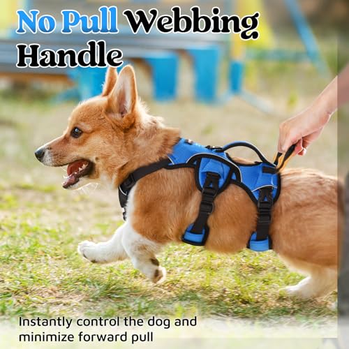 Escape Proof Dog Harness for Small (Blue / Small)