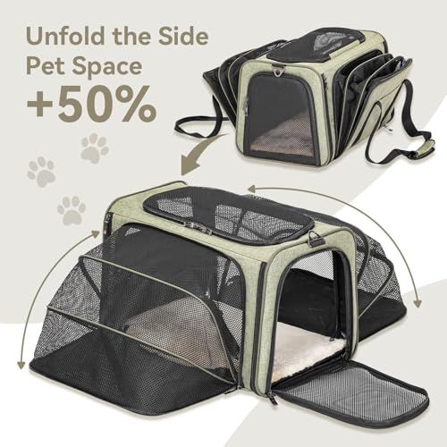 Medium Double Expandable Cat Carrier for Cats and Small Dogs (17.0"L x 11.0"W x 11.0"H / Green)