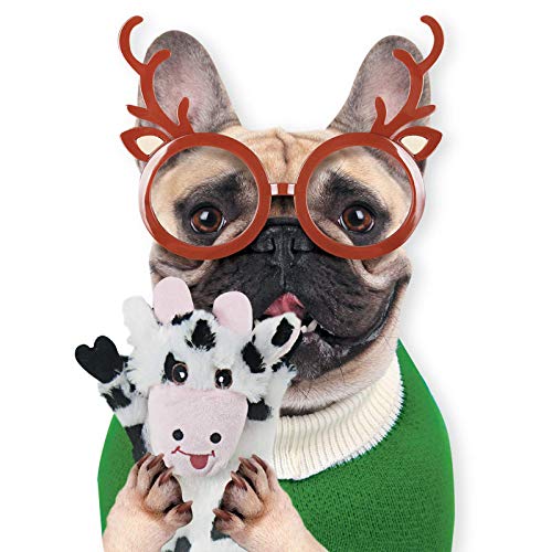 Dog Squeaky Toys 5 Pack (Large / 5 Pack)