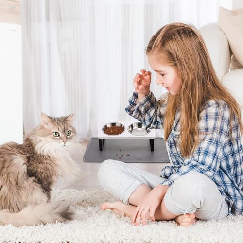 Upgraded Elevated Cat Bowls with Food Mat