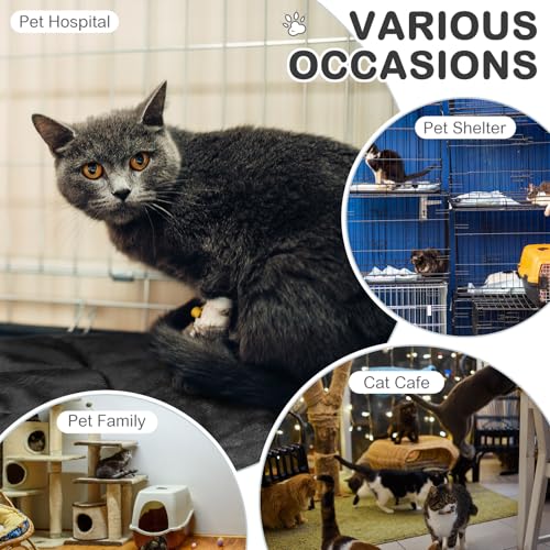 8 Pack Self Heating Cat Mat (Black / 16 x 20 Inch)