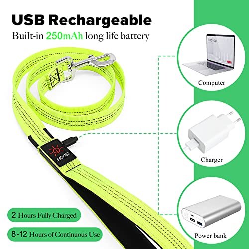 LED Dog Leash (GreenⅡ)