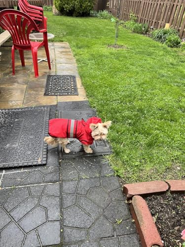 Dog Raincoat Hooded Poncho (Bright Red / Small)