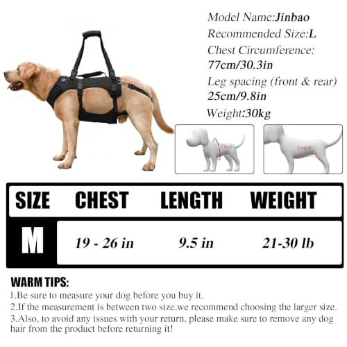Dog Lift Harness for Large Dogs (Black / M)