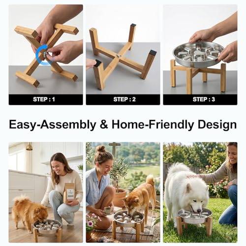 Elevated Slow Feeder Dog Bowls 2 Cups for 15