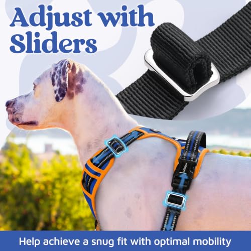 Dog Harness Small Sized (Royal Blue & Orange / Small)