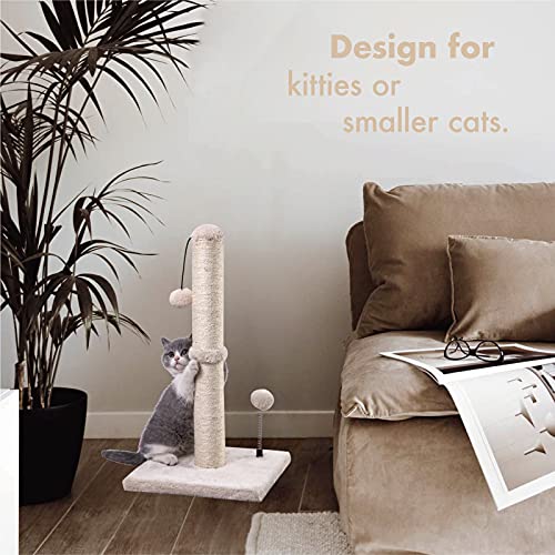 Cat Scratching Post Premium Basics Kitten Scratcher Sisal Scratch Posts with Hanging Ball 22in for Kittens or Smaller Cats (22 inches for kitten / Beige)