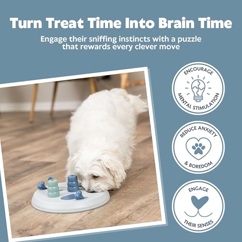 Flip Board Dog Activity Interactive Toy (Flip Board / Level 2)