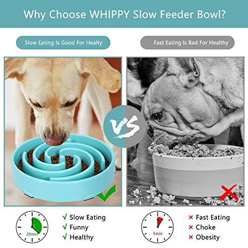 Slow Feeder Large Dog Bowl (Large / B-blue)