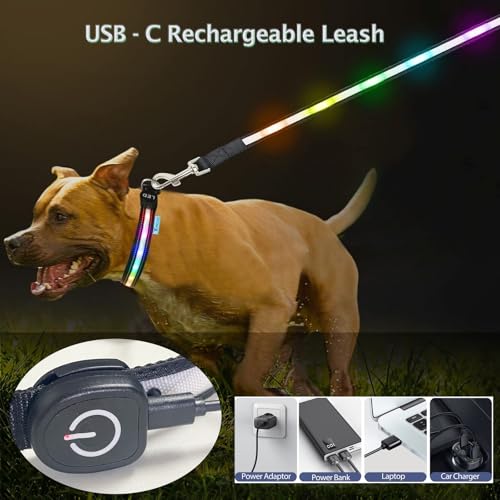 USB Rechargeable LED Dog Leash