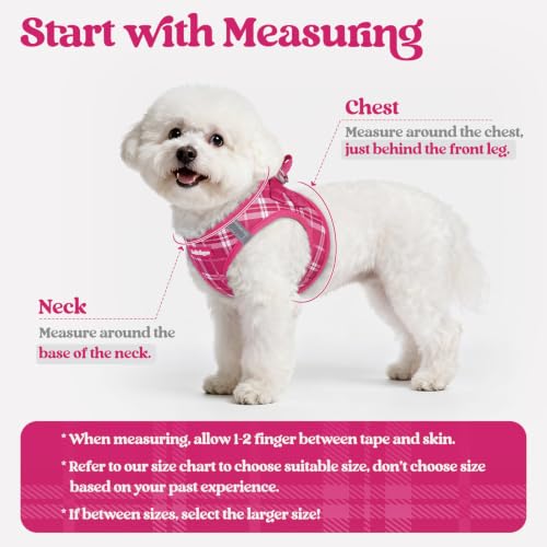 Dog Harness Small Sized and Leash Set (Rose Red Plaid / Xxs (chest: 12.4 - 14.2"))