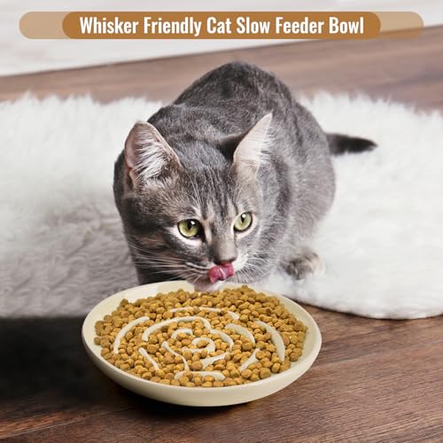 Slow Feeder Cat Bowl Set of 2 (cream)