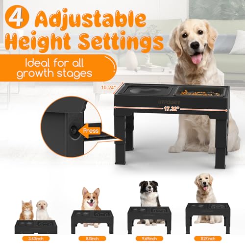 2-in-1 Elevated Slow Feeder Dog Bowls with No-Spill Water Bowl (Black / Slow Feeder)