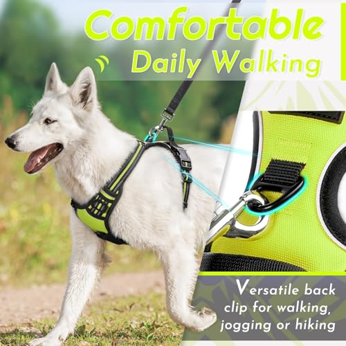 Dog Harness for Small Dogs (Small / Green)