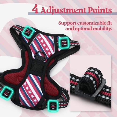 Dog Harness No Pull for Small Dogs with 2 Leash Clips (X-Small / Red Stripe)