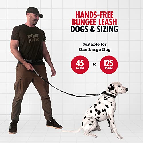 Hands Free Bungee Dog Leash