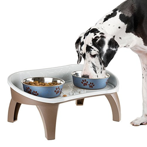 Elevated Pet Feeding Tray (Elevated)