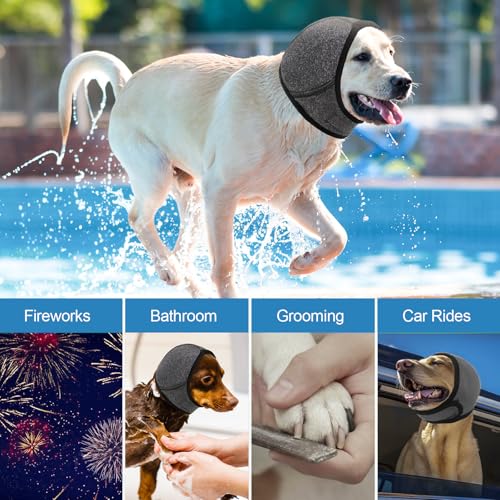 Dog Calming Hoodie (Dark Grey / M)