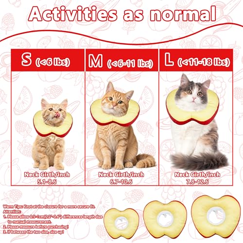 Cat Cone Collar Soft (Apple / Medium)