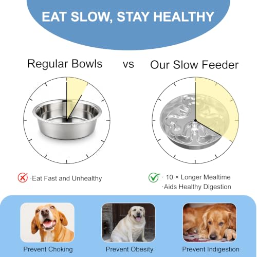 Stainless Steel Slow Feeder Dog Bowl