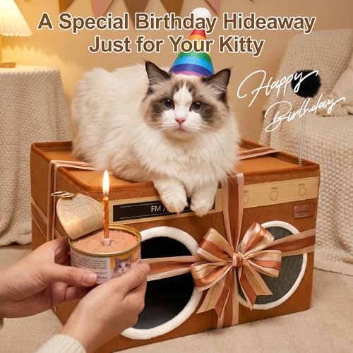 Retro Radio Cat House