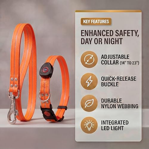 LED Dog Collar & 4 Foot Leash (Orange)