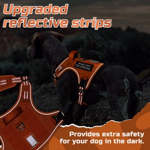 Tactical Dog Harness for Medium (Orange / Medium)
