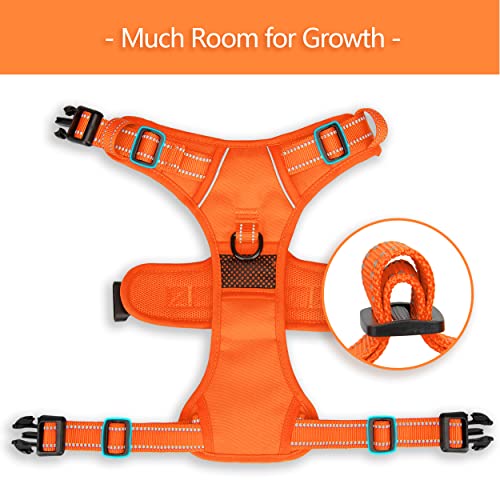 No Pull Dog Harness (XL / Orange(Matching Trim))