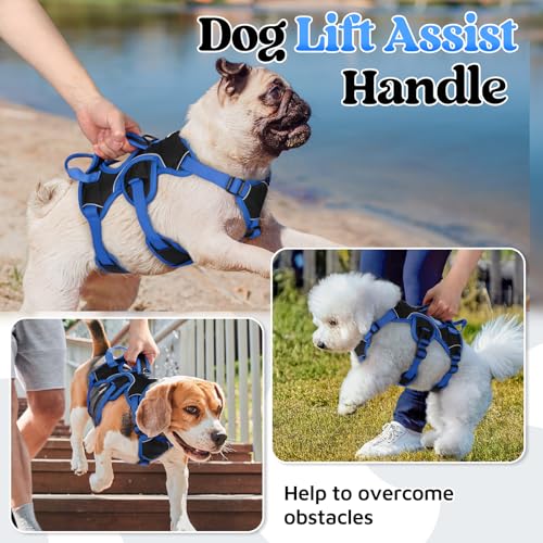 Escape Proof Dog Harness for Small (Blue & Black / Small)