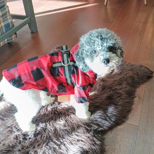 Dog Raincoats for X (Buffalo Red / XS(Back 10.5", Chest 16.9", Neck 12"))