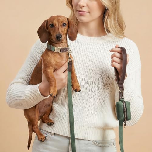 PU Leather Dog Leash for Small Dogs (Green / 5/8"x 5FT)
