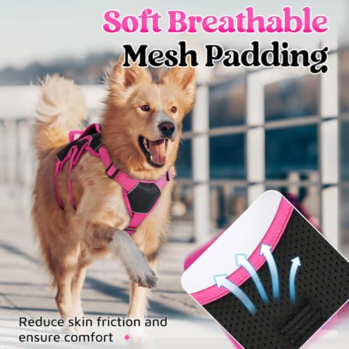 Escape Proof Dog Harness for Medium (Rose & Black / Medium)