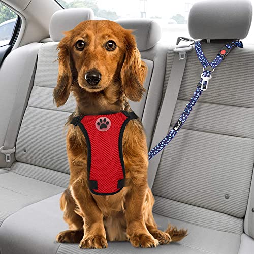 Dog Seat Belt for Car (B.Blue Paw)