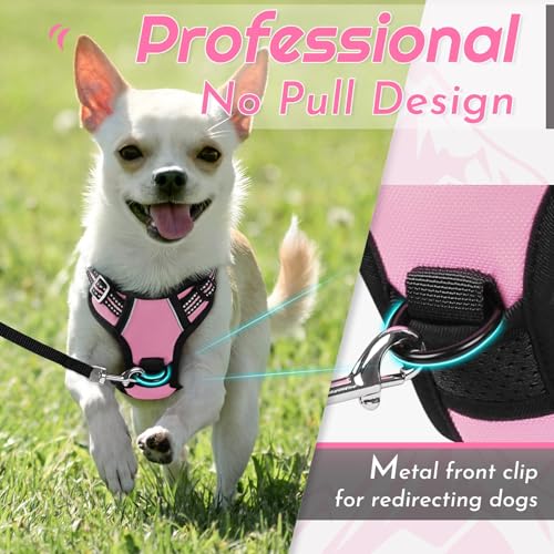 Dog Harness for Small Dogs (X-Small / Pink)