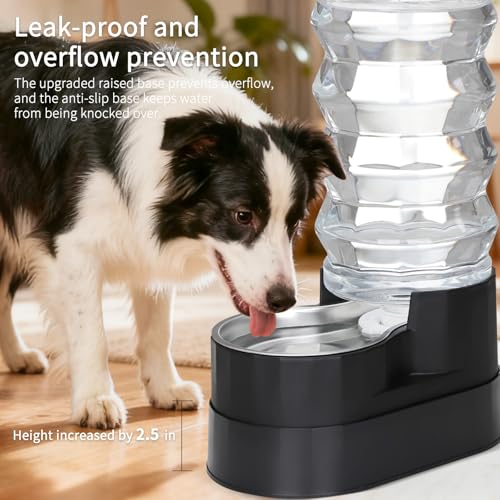 9L Elevated Dog Water Dispenser (9L / Jet Black)