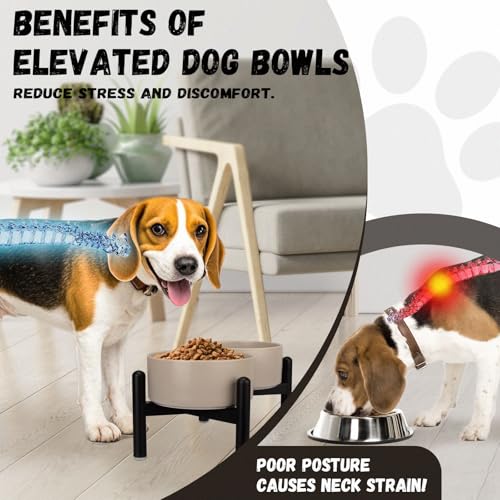 Raised Ceramic Dog Bowl Set with Stand (White / 2 Bowls - 3.5 Cups Each)