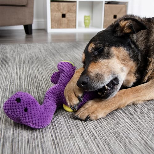 Dinos Bruto Checkers Tough Plush Toy with Chew Guard Technology (Dinos Bruto (Purple) / Large)