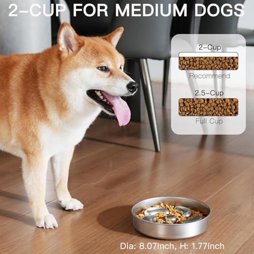 Slow Feeder Dog Bowl (Spiral-2Pack / M 2~2.5Cups)