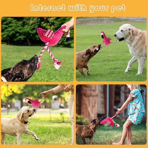 5 Pack Plush Dog Toys with Rope