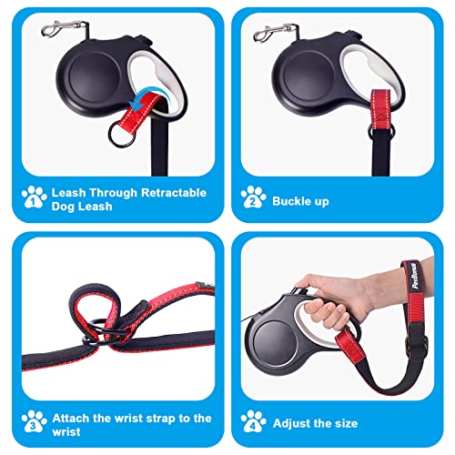 Short Dog Leash (Red / Short - 1 Pack)