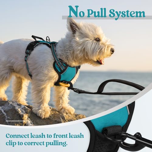 Dog Harness No Pull with 2 Leash Clips (X-Small / Teal)