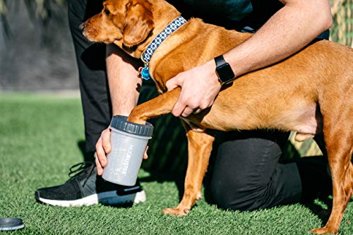 Lidded MudBuster Large Dog Paw Cleaner (Light Gray / Large with Lid)