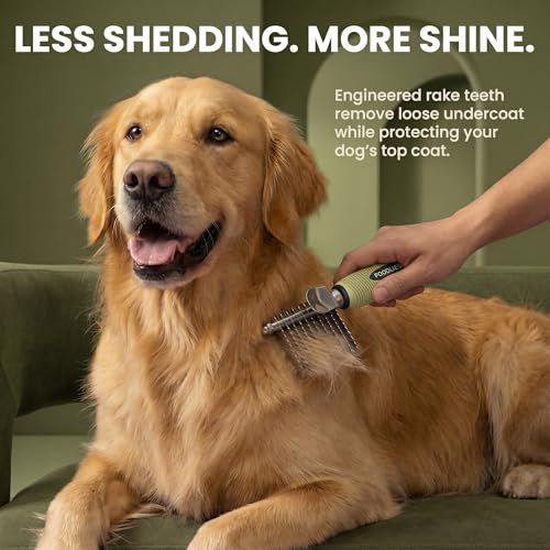 Poodle Dematting Fur Rake Comb Brush for Dogs and Cats (Green / Dematting Comb)