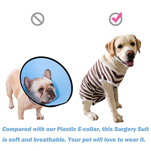 Dog’s Recovery Suit Post Surgery Shirt for Female Male Dog (xl / green stripe)