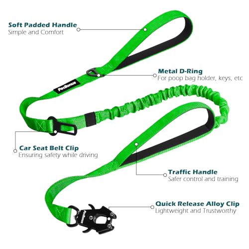 Heavy Duty Tactical Dog Leash (Grass Green)