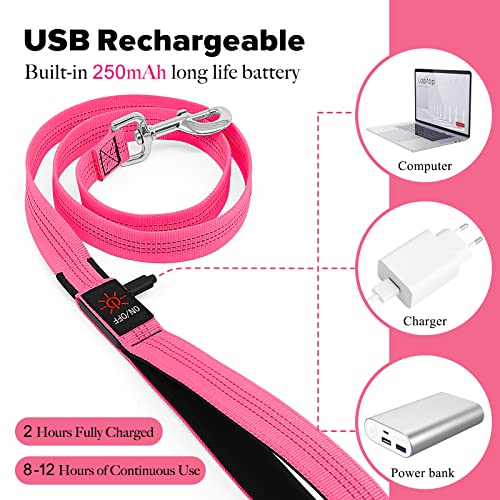 LED Dog Leash (PinkⅡ)