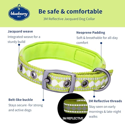 Reflective Jacquard Dog Collar with Neoprene Padding & Metal Buckle (Large / Metal Buckle-Macaw Green)