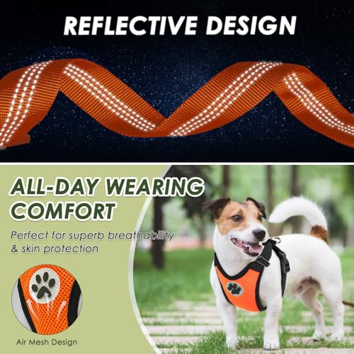 Dog Car Harness Seat Belt (X-Small / ·Orange)