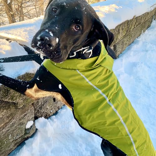 Dog Raincoat Adjustable Waterproof Reflective Rain Jacket for Small Medium Large Dogs (M Chest 26"-32" / Lime Yellow)